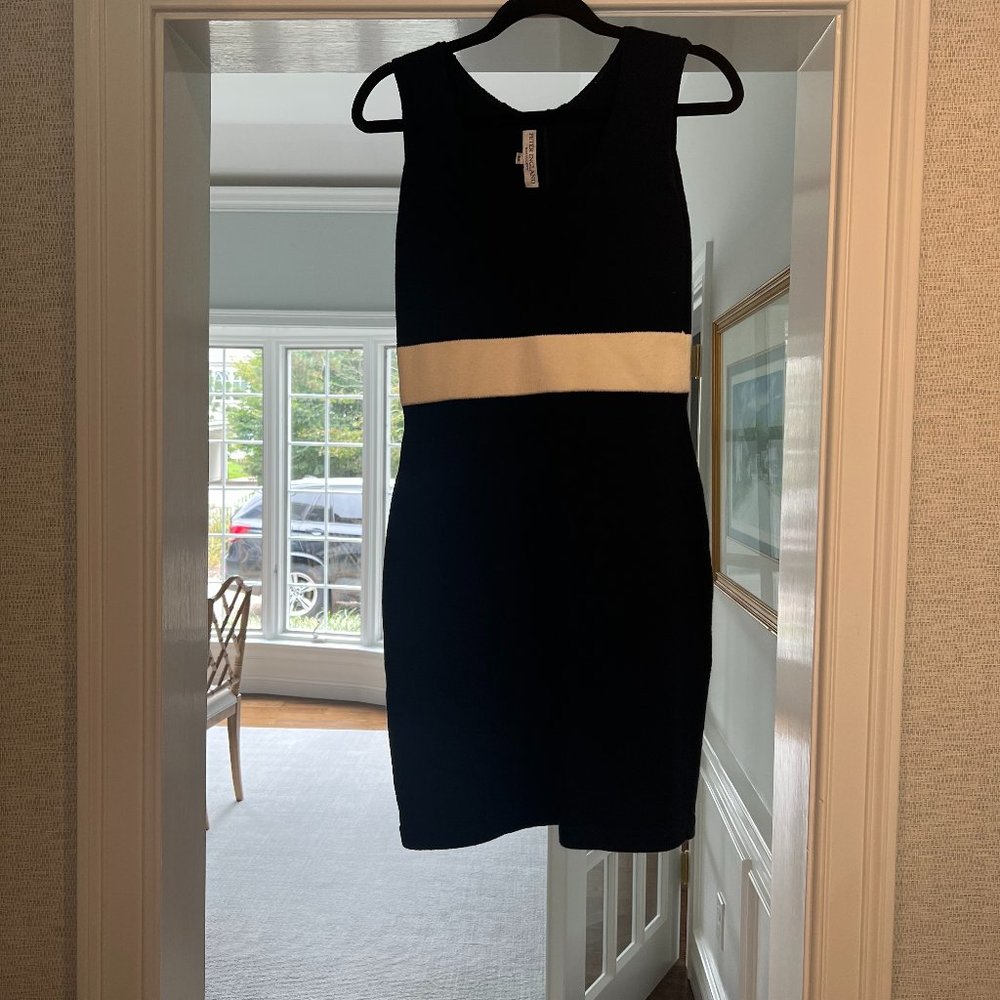 Peter England dress